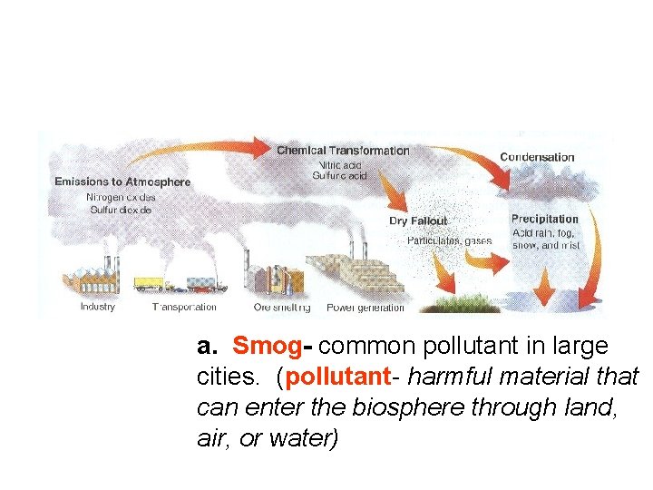 a. Smog- common pollutant in large cities. (pollutant- harmful material that can enter the