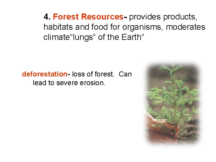 4. Forest Resources- provides products, habitats and food for organisms, moderates climate“lungs” of the