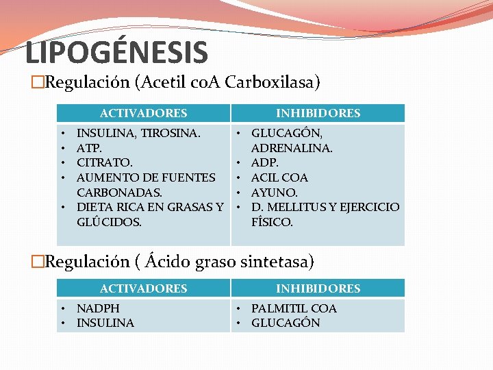 LIPOGÉNESIS �Regulación (Acetil co. A Carboxilasa) ACTIVADORES INHIBIDORES INSULINA, TIROSINA. ATP. CITRATO. AUMENTO DE