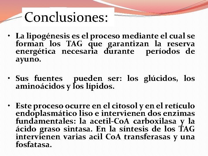Conclusiones: • La lipogénesis es el proceso mediante el cual se forman los TAG