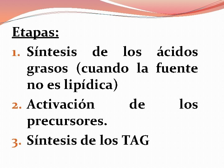 Etapas: 1. Síntesis de los ácidos grasos (cuando la fuente no es lipídica) 2.