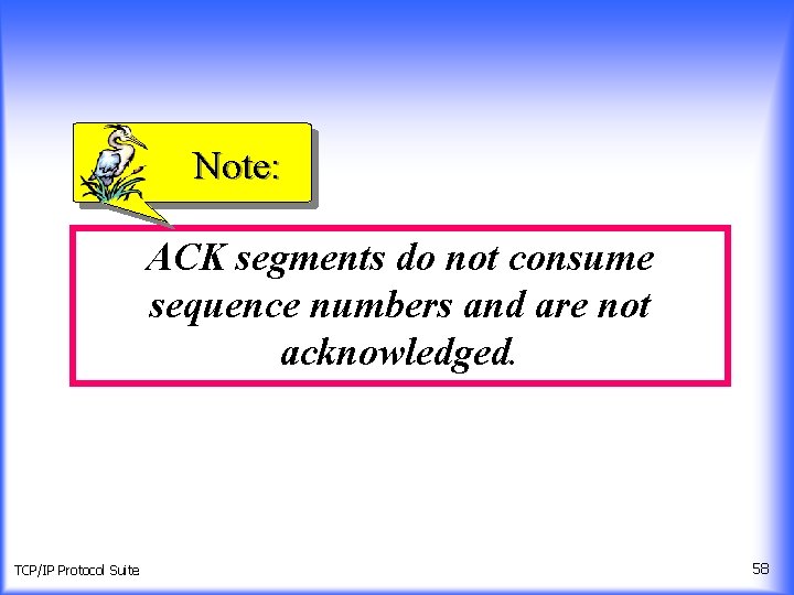 Note: ACK segments do not consume sequence numbers and are not acknowledged. TCP/IP Protocol