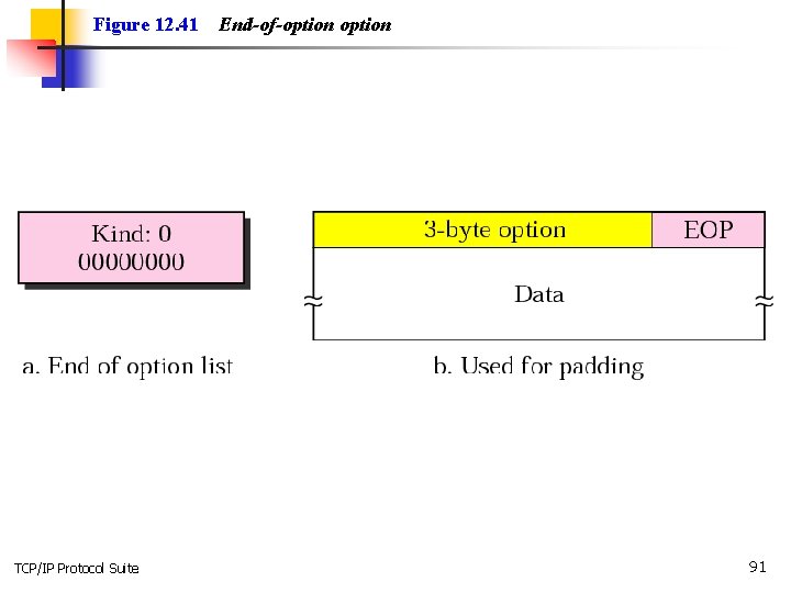 Figure 12. 41 TCP/IP Protocol Suite End-of-option 91 