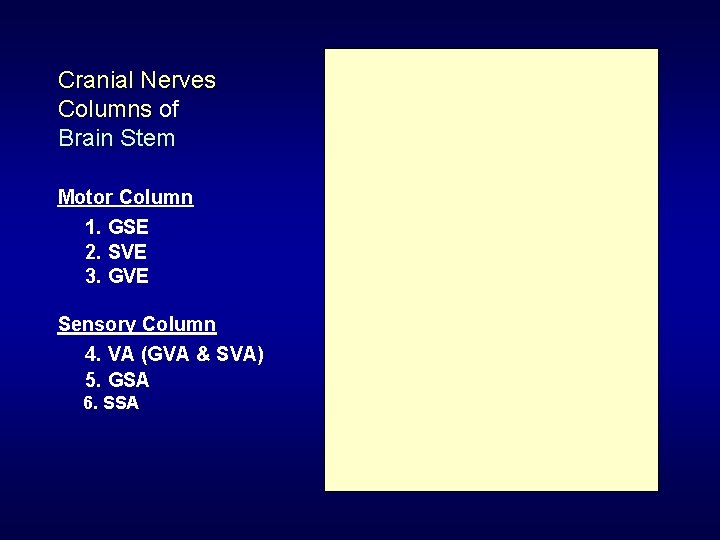 Cranial Nerves Columns of Brain Stem Motor Column 1. GSE 2. SVE 3. GVE