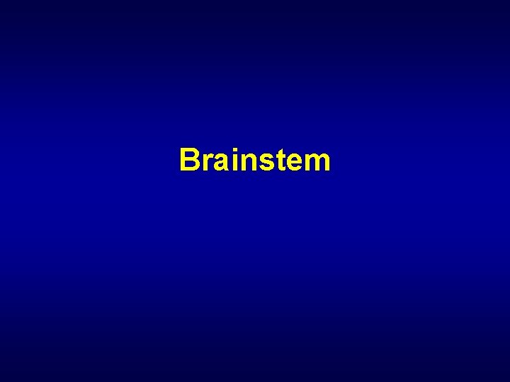 Brainstem 