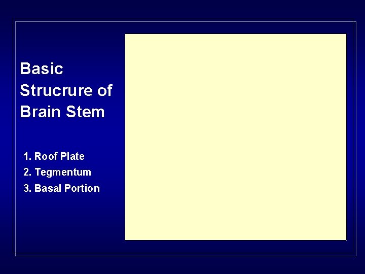 Basic Strucrure of Brain Stem 1. Roof Plate 2. Tegmentum 3. Basal Portion 