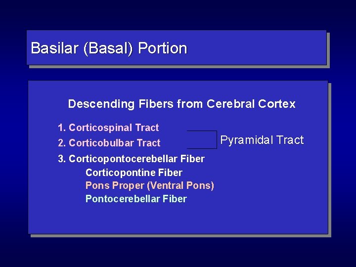 Basilar (Basal) Portion Descending Fibers from Cerebral Cortex 1. Corticospinal Tract 2. Corticobulbar Tract