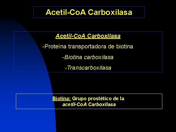 Acetil-Co. A Carboxilasa -Proteína transportadora de biotina -Biotina carboxilasa -Transcarboxilasa Biotina: Grupo prostético de