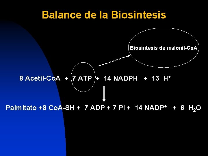 Balance de la Biosíntesis de malonil-Co. A 8 Acetil-Co. A + 7 ATP +