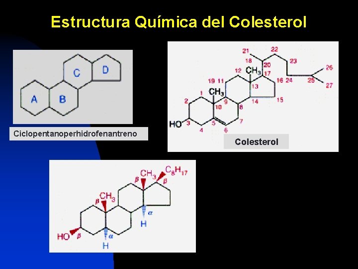 Estructura Química del Colesterol Ciclopentanoperhidrofenantreno Colesterol 