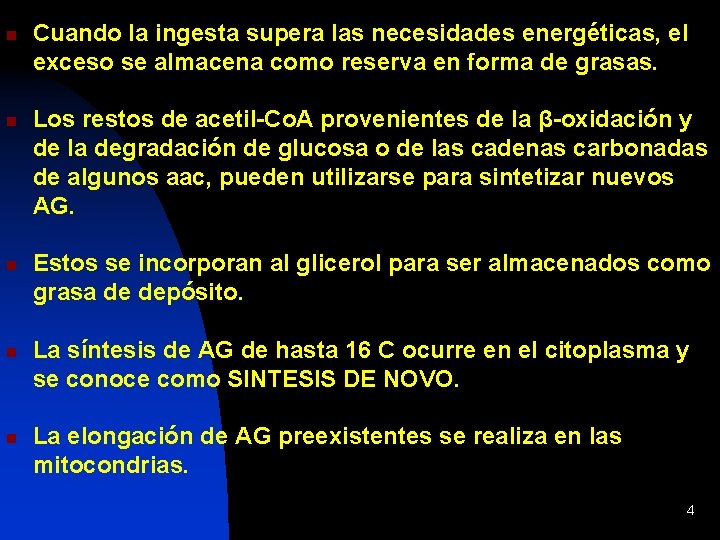n n n Cuando la ingesta supera las necesidades energéticas, el exceso se almacena