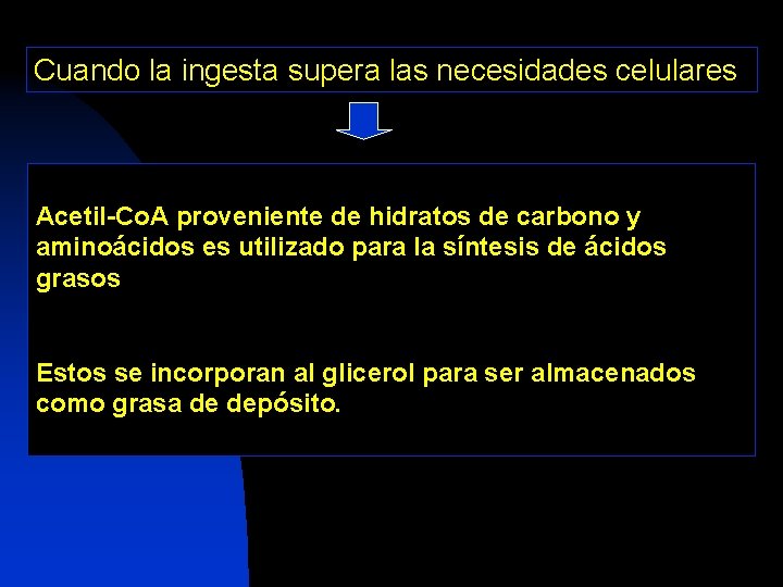 Cuando la ingesta supera las necesidades celulares Acetil-Co. A proveniente de hidratos de carbono