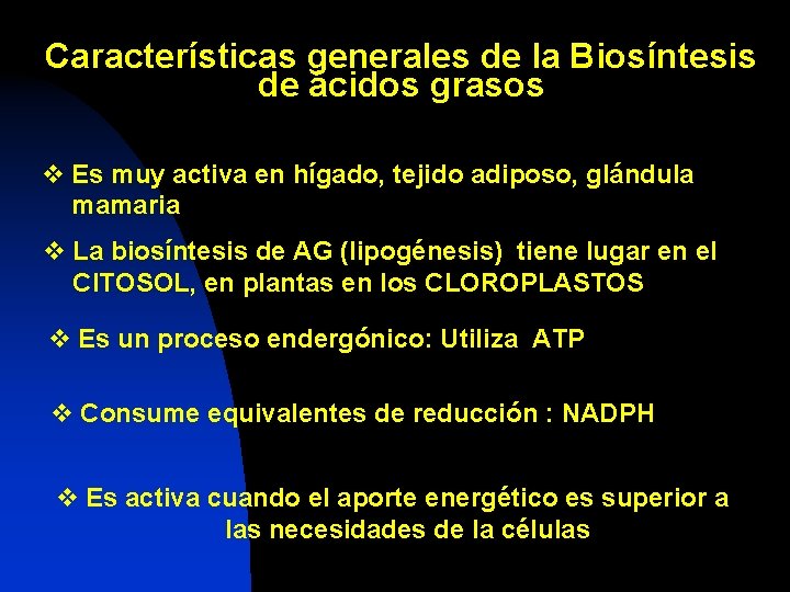 Características generales de la Biosíntesis de ácidos grasos v Es muy activa en hígado,
