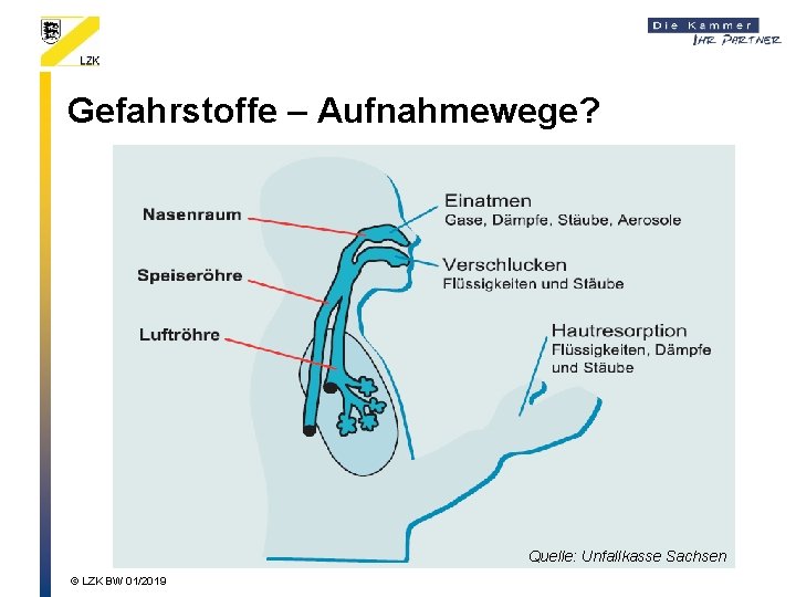 Gefahrstoffe – Aufnahmewege? Quelle: Unfallkasse Sachsen © LZK BW 01/2019 