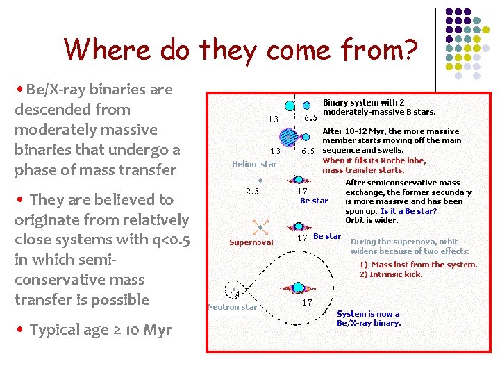 Where do they come from? • Be/X-ray binaries are descended from moderately massive binaries
