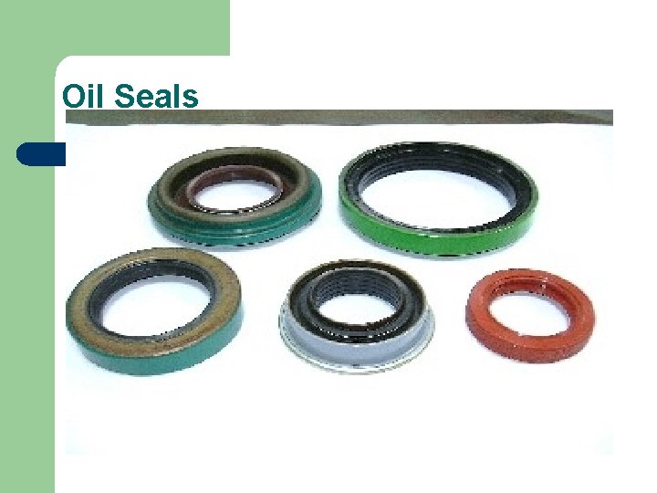 Oil Seals 
