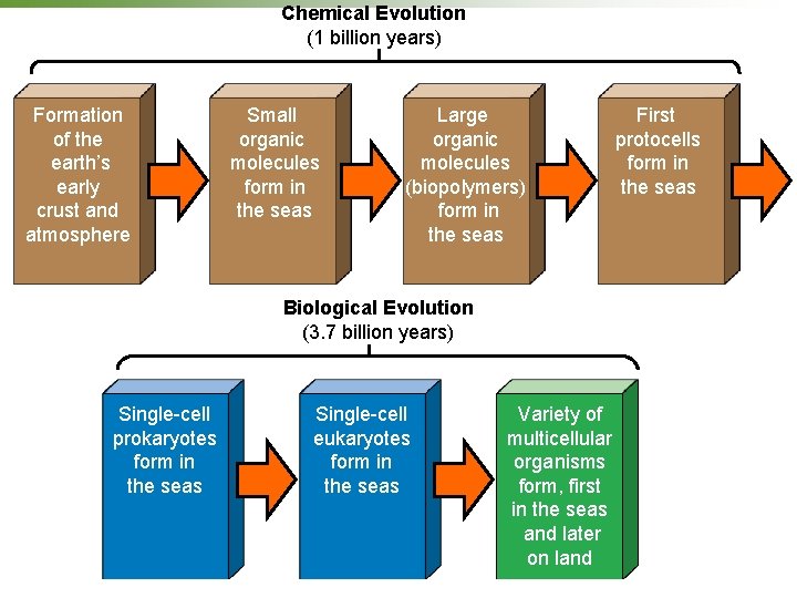 Chemical Evolution (1 billion years) Formation of the earth’s early crust and atmosphere Small