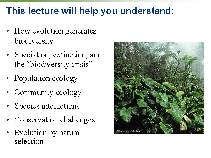 This lecture will help you understand: • How evolution generates biodiversity • Speciation, extinction,