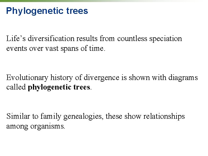 Phylogenetic trees Life’s diversification results from countless speciation events over vast spans of time.
