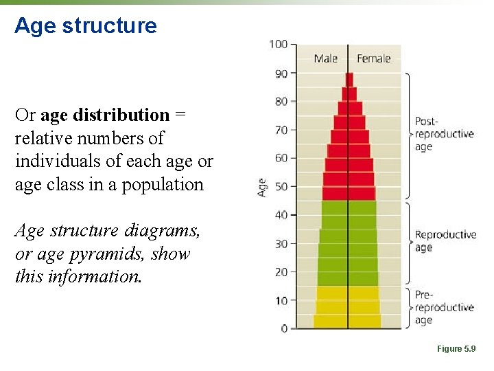 Age structure Or age distribution = relative numbers of individuals of each age or