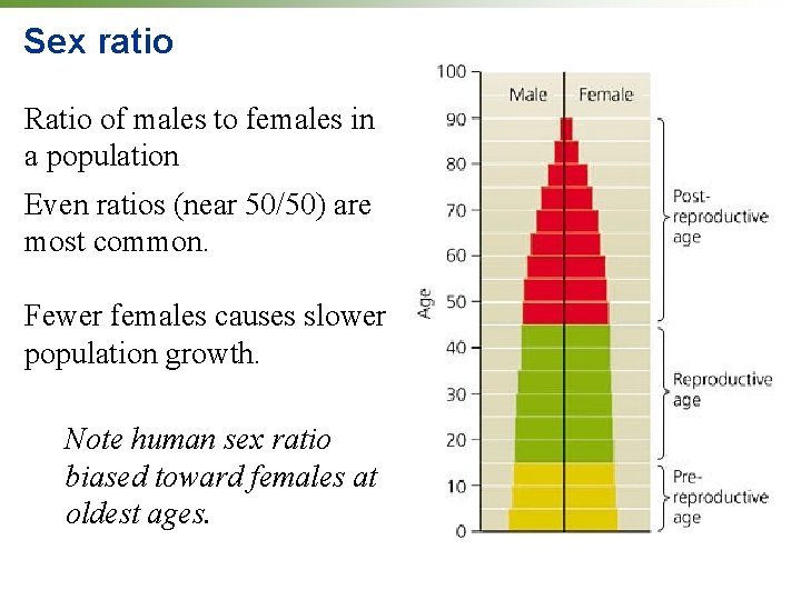 Sex ratio Ratio of males to females in a population Even ratios (near 50/50)