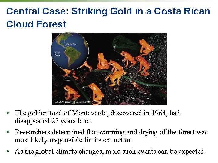 Central Case: Striking Gold in a Costa Rican Cloud Forest • The golden toad