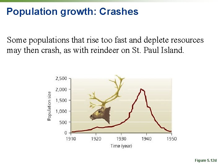 Population growth: Crashes Some populations that rise too fast and deplete resources may then