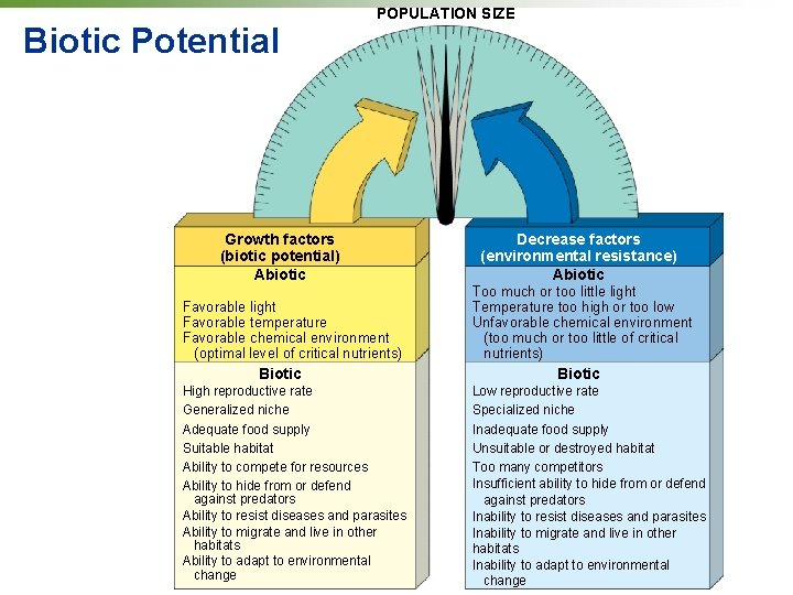 Biotic Potential POPULATION SIZE Growth factors (biotic potential) Abiotic Favorable light Favorable temperature Favorable