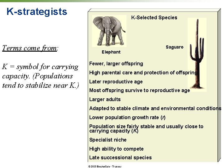 K-strategists Terms come from: K = symbol for carrying capacity. (Populations tend to stabilize