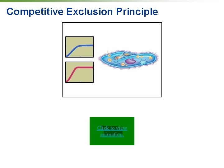 Competitive Exclusion Principle Click to view animation. 