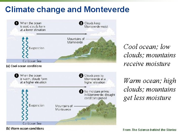 Climate change and Monteverde Cool ocean; low clouds; mountains receive moisture Warm ocean; high