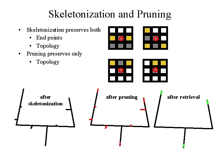 Skeletonization and Pruning • Skeletonization preserves both • End points • Topology • Pruning