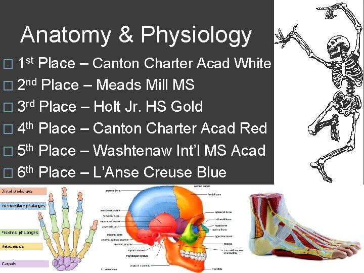 Anatomy & Physiology � 1 st Place – Canton Charter Acad White � 2