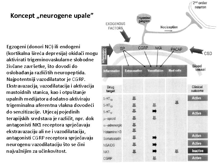 Koncept „neurogene upale” Egzogeni (donori NO) ili endogeni (kortikalna šireća depresija) okidači mogu aktivirati