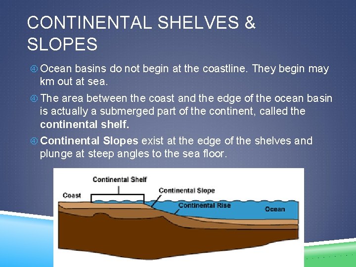 CONTINENTAL SHELVES & SLOPES Ocean basins do not begin at the coastline. They begin