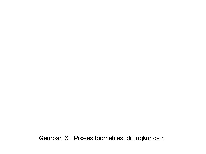 Gambar 3. Proses biometilasi di lingkungan 