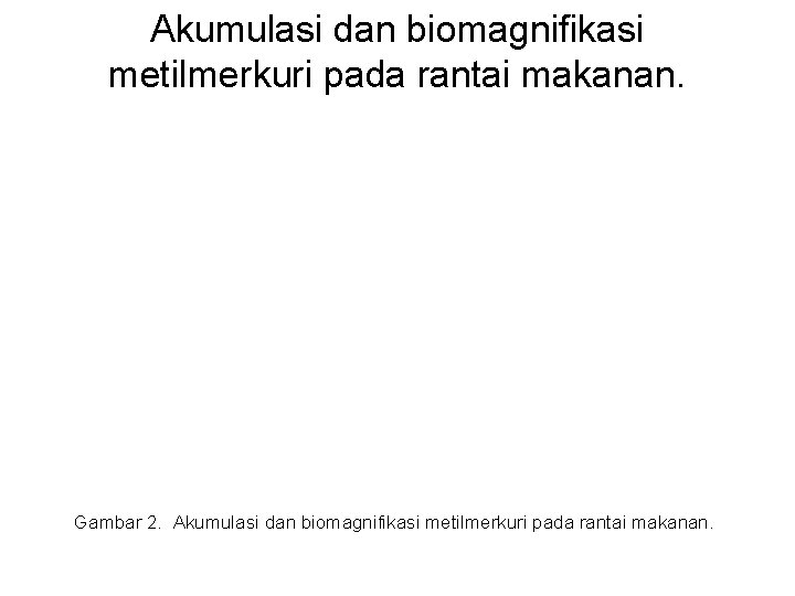 Akumulasi dan biomagnifikasi metilmerkuri pada rantai makanan. Gambar 2. Akumulasi dan biomagnifikasi metilmerkuri pada