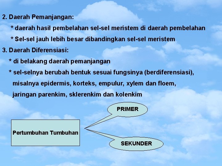 2. Daerah Pemanjangan: * daerah hasil pembelahan sel-sel meristem di daerah pembelahan * Sel-sel