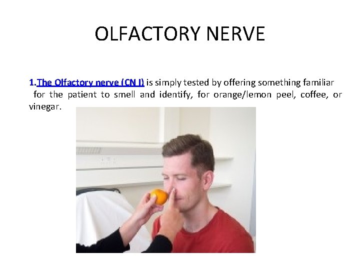 OLFACTORY NERVE 1. The Olfactory nerve (CN I) is simply tested by offering something
