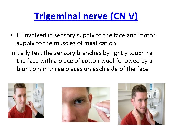 Trigeminal nerve (CN V) • IT involved in sensory supply to the face and