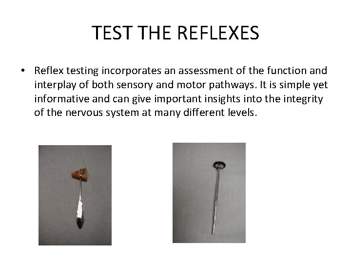 TEST THE REFLEXES • Reflex testing incorporates an assessment of the function and interplay