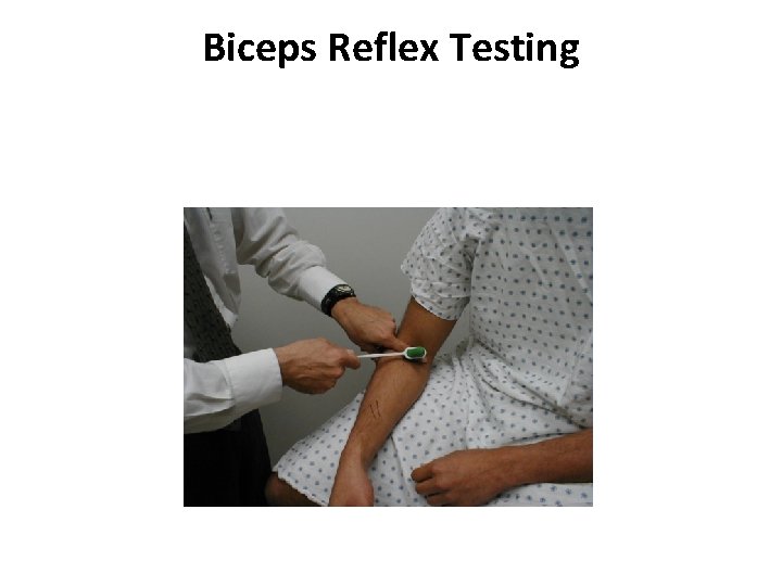 Biceps Reflex Testing 