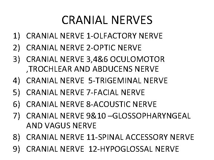 CRANIAL NERVES 1) CRANIAL NERVE 1 -OLFACTORY NERVE 2) CRANIAL NERVE 2 -OPTIC NERVE