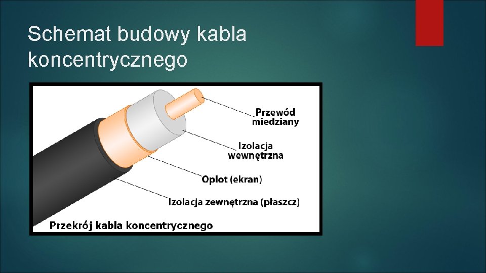 Schemat budowy kabla koncentrycznego 