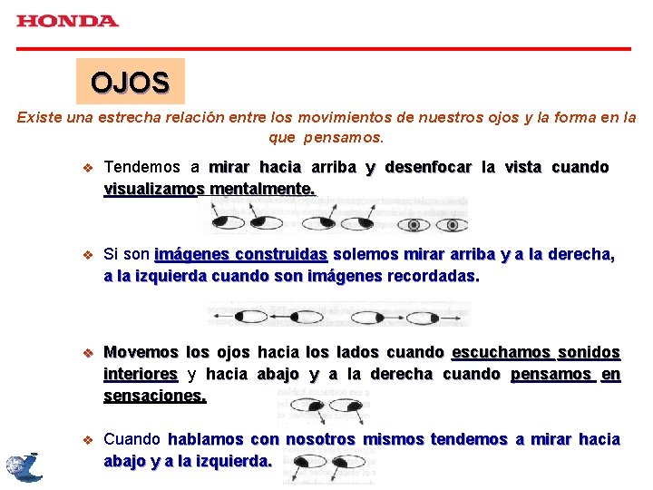 OJOS Existe una estrecha relación entre los movimientos de nuestros ojos y la forma