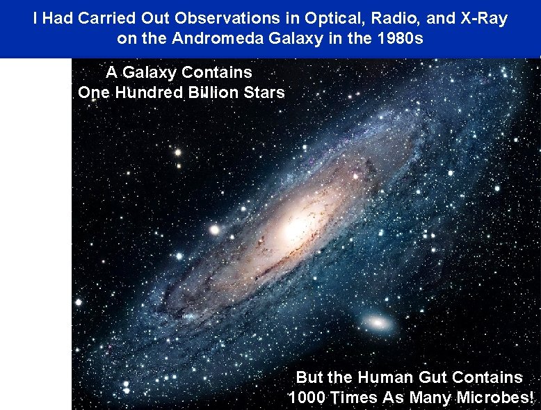 I Had Carried Out Observations in Optical, Radio, and X-Ray on the Andromeda Galaxy
