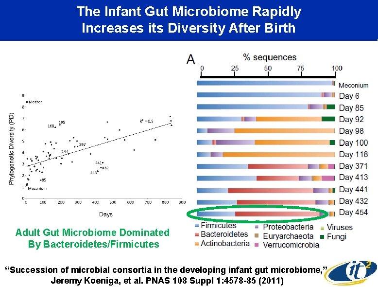 The Infant Gut Microbiome Rapidly Increases its Diversity After Birth Adult Gut Microbiome Dominated