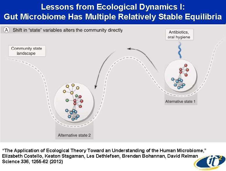 Lessons from Ecological Dynamics I: Gut Microbiome Has Multiple Relatively Stable Equilibria “The Application