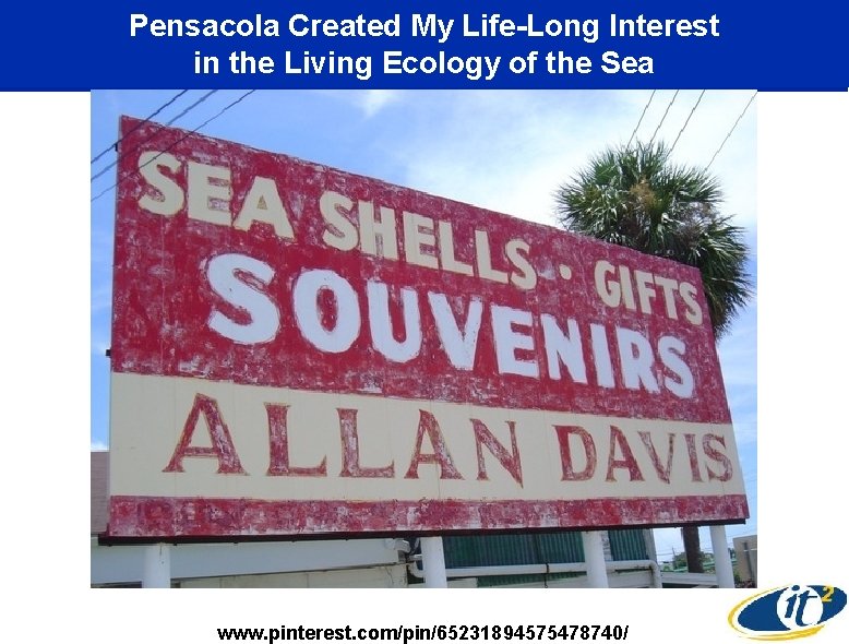 Pensacola Created My Life-Long Interest in the Living Ecology of the Sea www. pinterest.