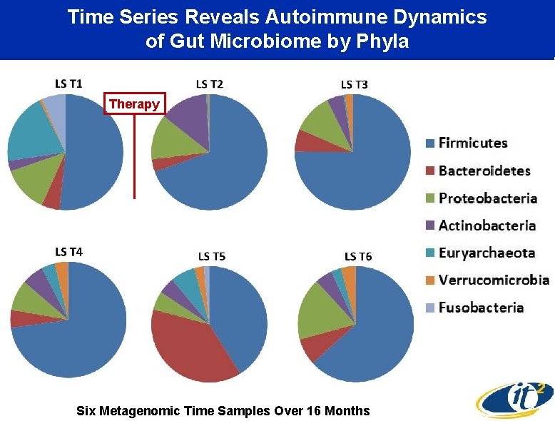 Time Series Reveals Autoimmune Dynamics of Gut Microbiome by Phyla Therapy Six Metagenomic Time